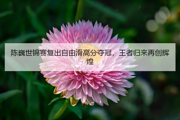 chen-wei-shi-jin-sai-fu-chu-zi-you-hua-gao-fen-duo-guan-wang-zhe-gui-lai-zai-chuang-hui-huang-3-615.jpg