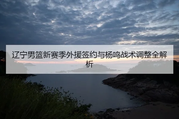 liao-ning-nan-lan-xin-sai-ji-wai-yuan-qian-yue-yu-yang-ming-zhan-shu-tiao-zheng-quan-jie-xi-2-592.jpg