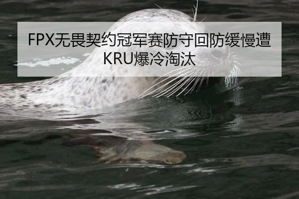 FPX无畏契约冠军赛防守回防缓慢遭KRU爆冷淘汰