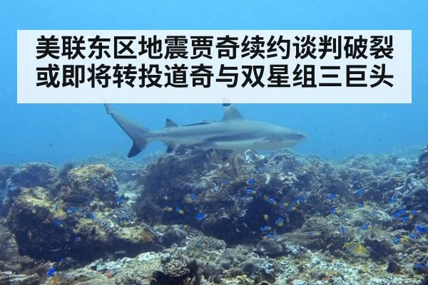 美联东区地震贾奇续约谈判破裂或即将转投道奇与双星组三巨头