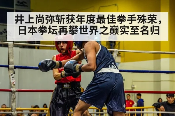 boxing match action