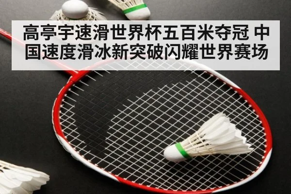 高亭宇速滑世界杯五百米夺冠 中国速度滑冰新突破闪耀世界赛场